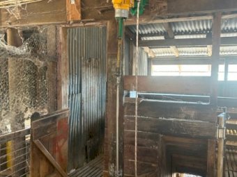 TalliBuster Shearing Plant