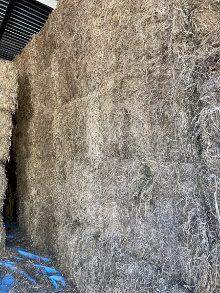 Pasture Hay