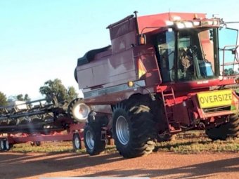 1999 Case IH 2388 Header with Case 1042 36ft Front
