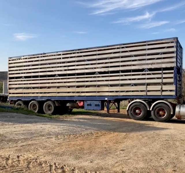 *Price Reduced* Shanks 2 deck Cattle or 4 deck Sheep Stockcrate