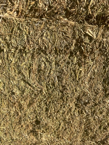 GOOD 2019 Vetch Hay