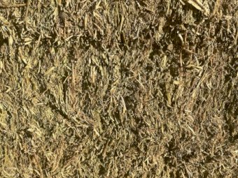 GOOD 2019 Vetch Hay