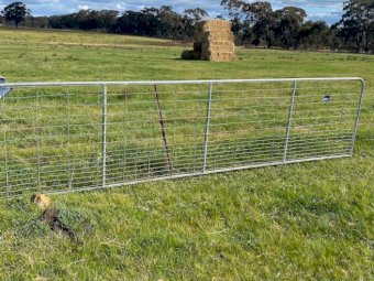 6 X Cyclone Gates