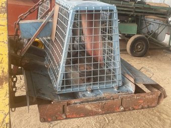 Victa Multi Mower