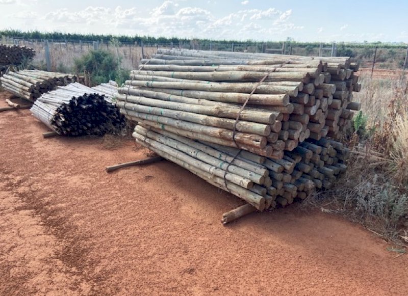 3500 Pine Posts for sale ONO