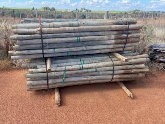 4500 Pine Posts for sale ONO