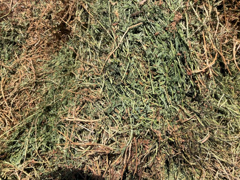 260mt Vetch Hay 700-750kg 8x4x3 Bales (New Season 23/24)