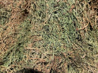 260mt Vetch Hay 700-750kg 8x4x3 Bales (New Season 23/24)