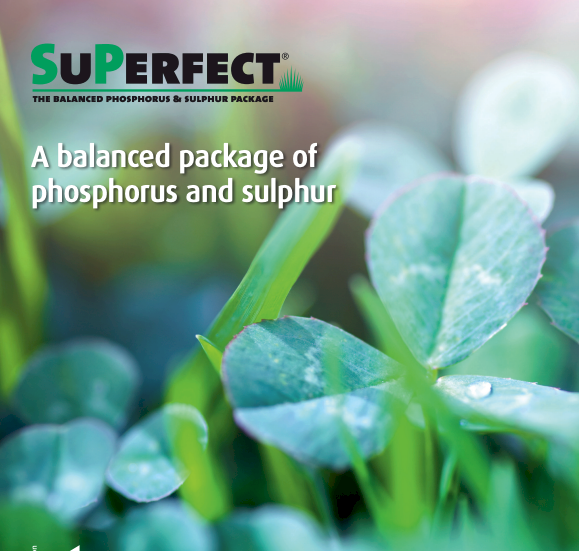 2024 Superfect Early Contract/Delivery Offer