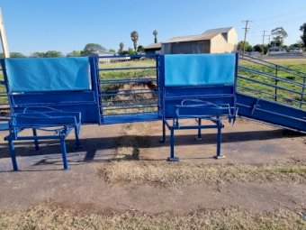 Sheep Double Handler/Crutching Unit