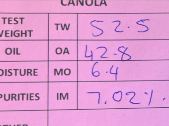 35-40mt Canola
