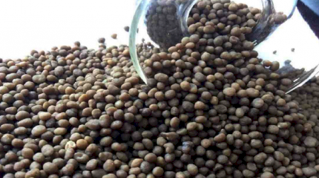 DAP ex Leeton - small and large Quantities available