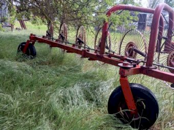 7 wheel Hay Rake