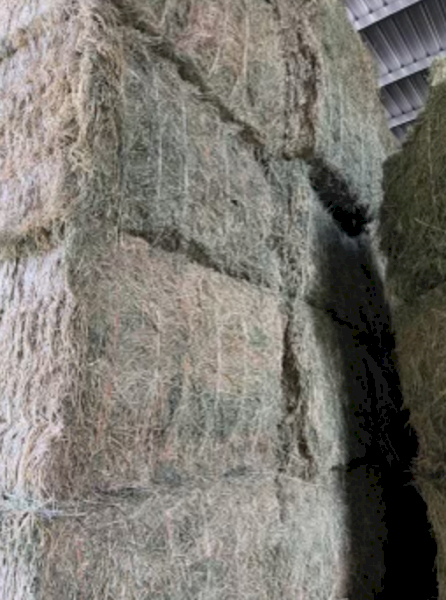 22mt Lucerne Hay 630kg 8x4x3 Bales