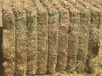 100mt Vetch Hay 650-700kg 8x4x3 Bale (23/24 Season)