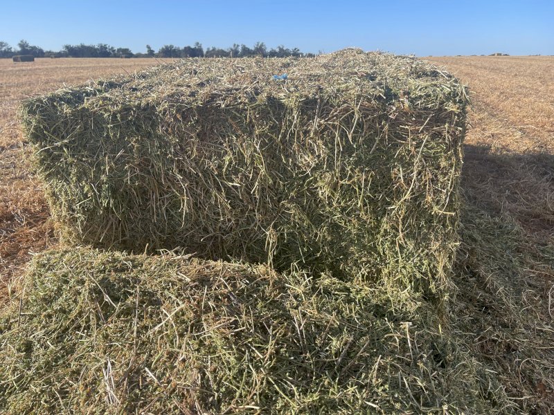 500mt Vetch Hay 650kg 8x4x3 Bales