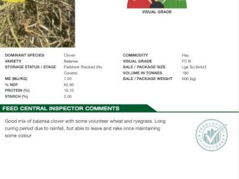 23' Season Balansa Clover 8x4x3 Bales