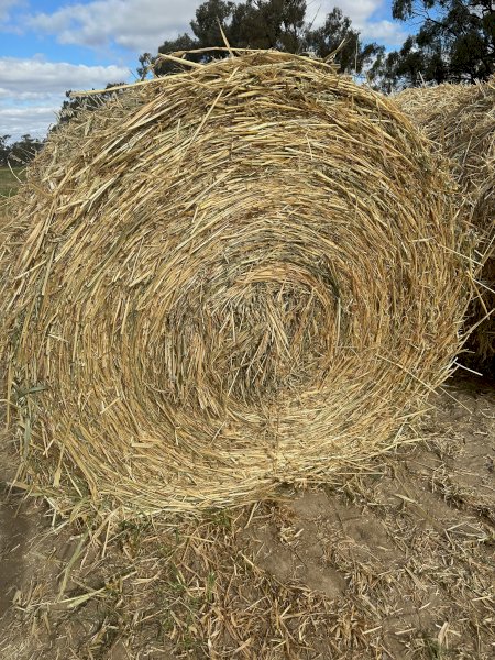 2023 Season Oaten Hay