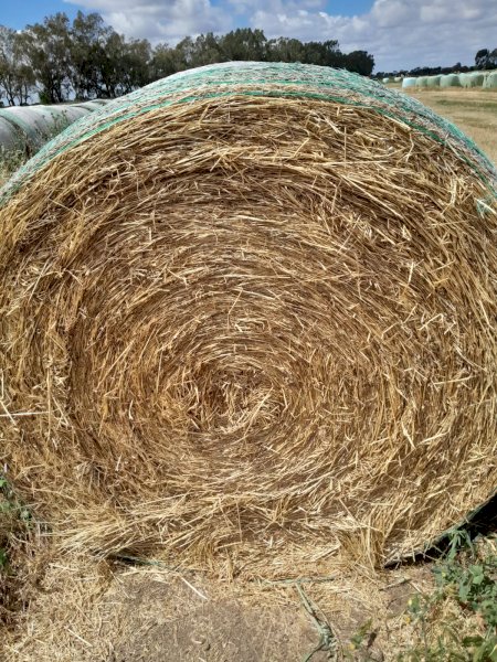 22/23 Season Oaten Vetch and Rye Grass Hay