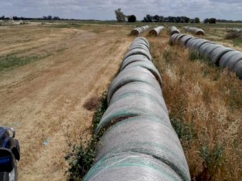22/23 Season Oaten Vetch and Rye Grass Hay