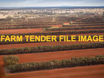 WANTED Landowners Interested In Plantation Carbon Projects