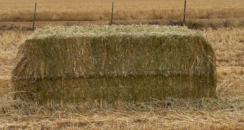 Wheaten Hay 8x4x3 Bales