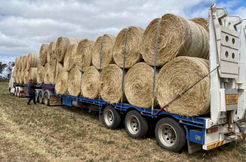 150 x Wheaten Pasture Hay 5x4 Rolls