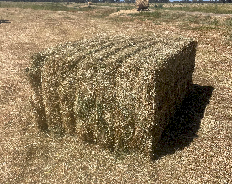 200mt Clover Hay 600-650kg 8x4x3 Bales