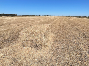 110mt Oaten Rye Hay 550-600kg 8x4x3 Bales