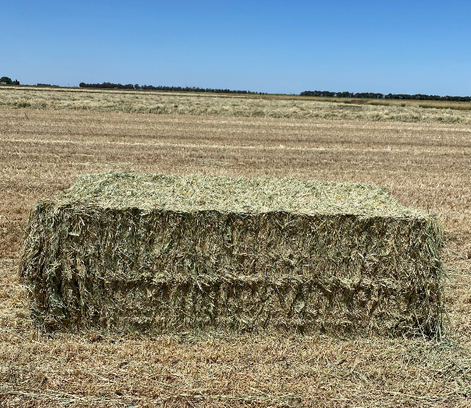 185mt Wheaten Hay 500-550kg 8x4x3 Bales