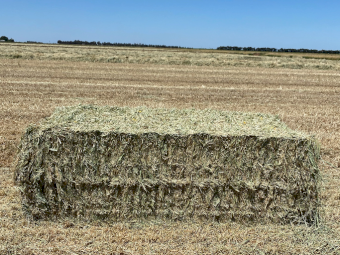 185mt Wheaten Hay 500-550kg 8x4x3 Bales