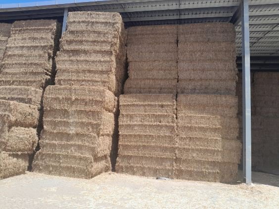 Vetch Hay (23/24 Season)