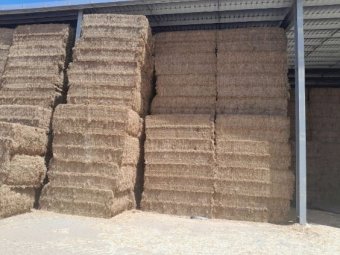 Vetch Hay (23/24 Season)
