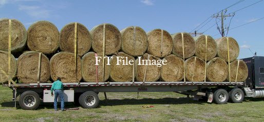 395 x Vetch Rye Hay 5x4 Rolls