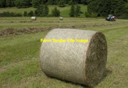 Oaten Hay