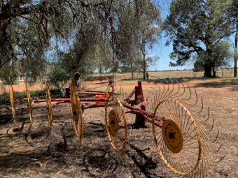 Sitrex Hay Rake