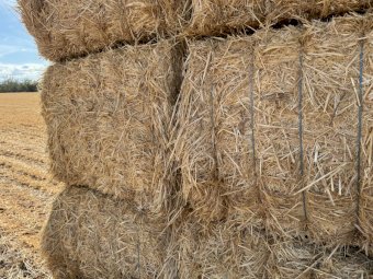 80 mt Oat Straw Hay 23/24 Season