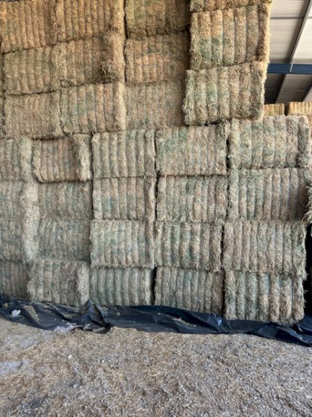 360MT Vetch Hay 8X4X3 Bales