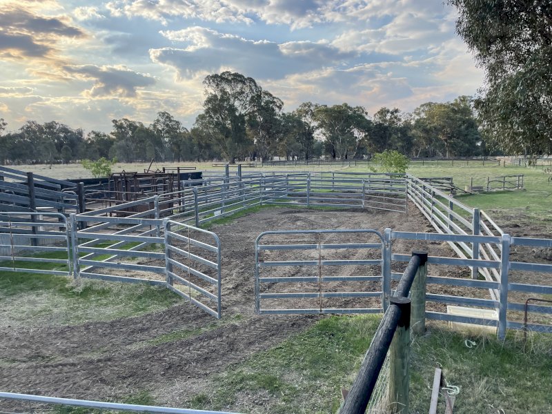 "" Price slashed"" Cattle yards for Removal