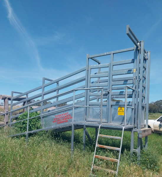 Cattle Loading Ramp