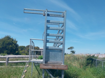 Cattle Loading Ramp