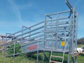 Cattle Loading Ramp