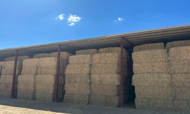 550mt Wheaten Hay 630kg 8x4x3 Bales