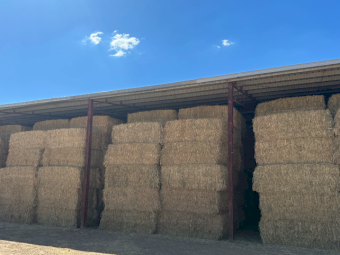 550mt Wheaten Hay 630kg 8x4x3 Bales