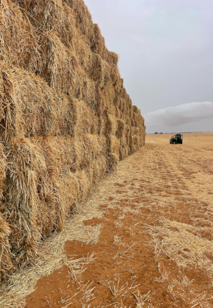 80mt Oaten Hay 600-650kg 8x4x3 Bales