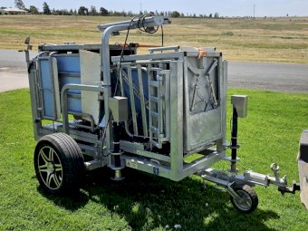 2016 CLIPEX Sheep Auto Drafter / Handler