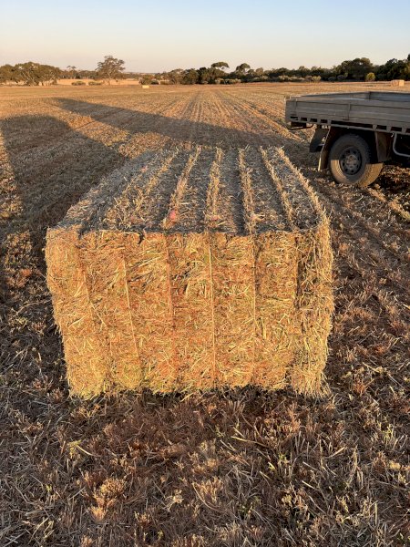 23' Season A2 Clover Hay