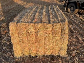 23' Season A2 Clover Hay