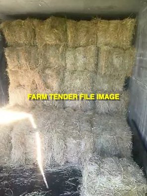 Clove rye grass hay