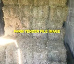 Clove rye grass hay